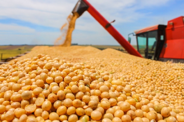 Clima instável e maior facilidade de acesso deve aumentar contratação de seguro agrícola em 2023